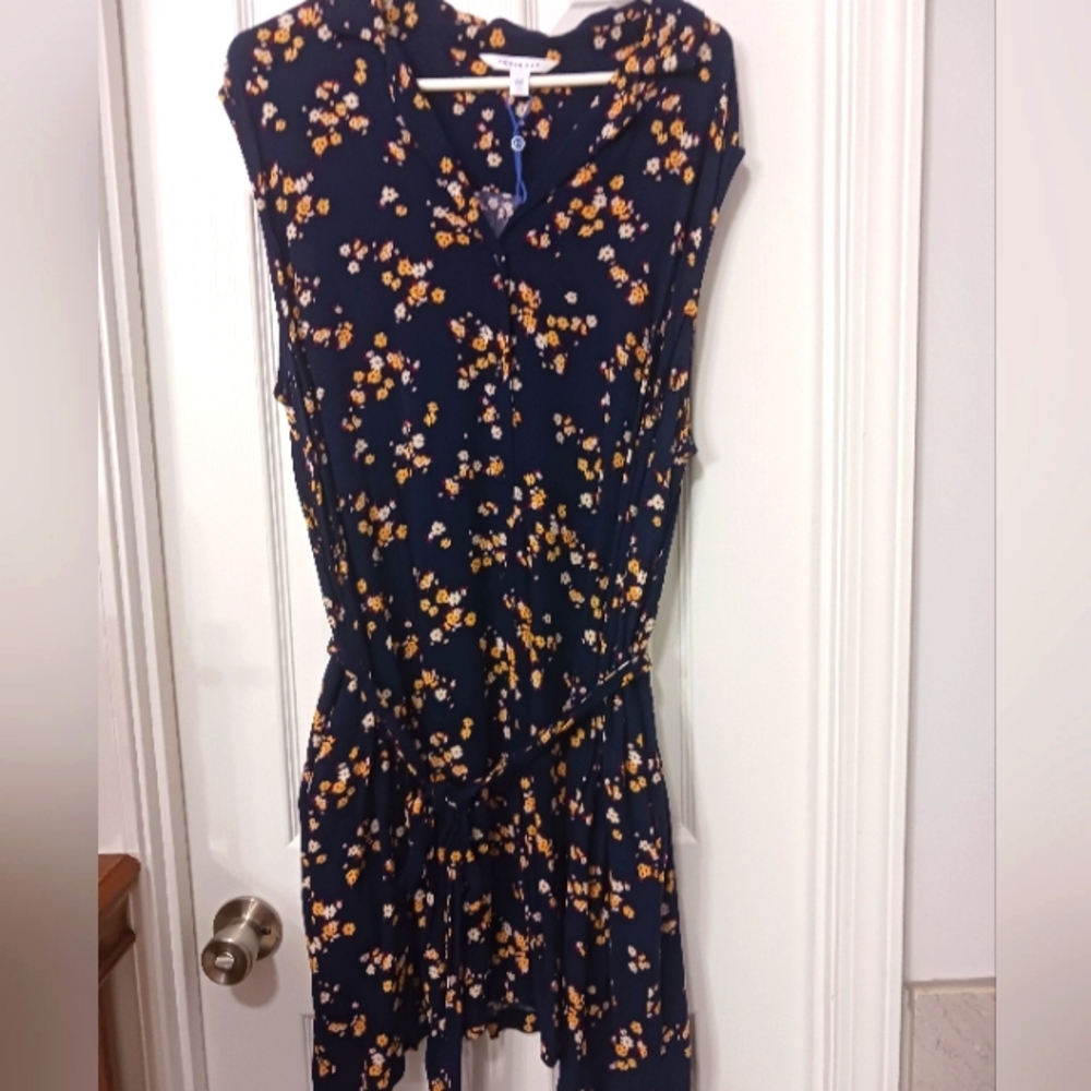 POPSUGAR 2x dress